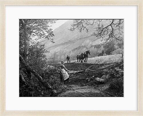 Ploughing in Sulby Glen, Isle of Man by George Bellett Cowen